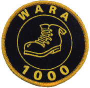 1000 Point Badge