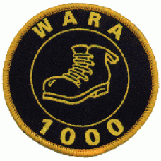 1000 point badge